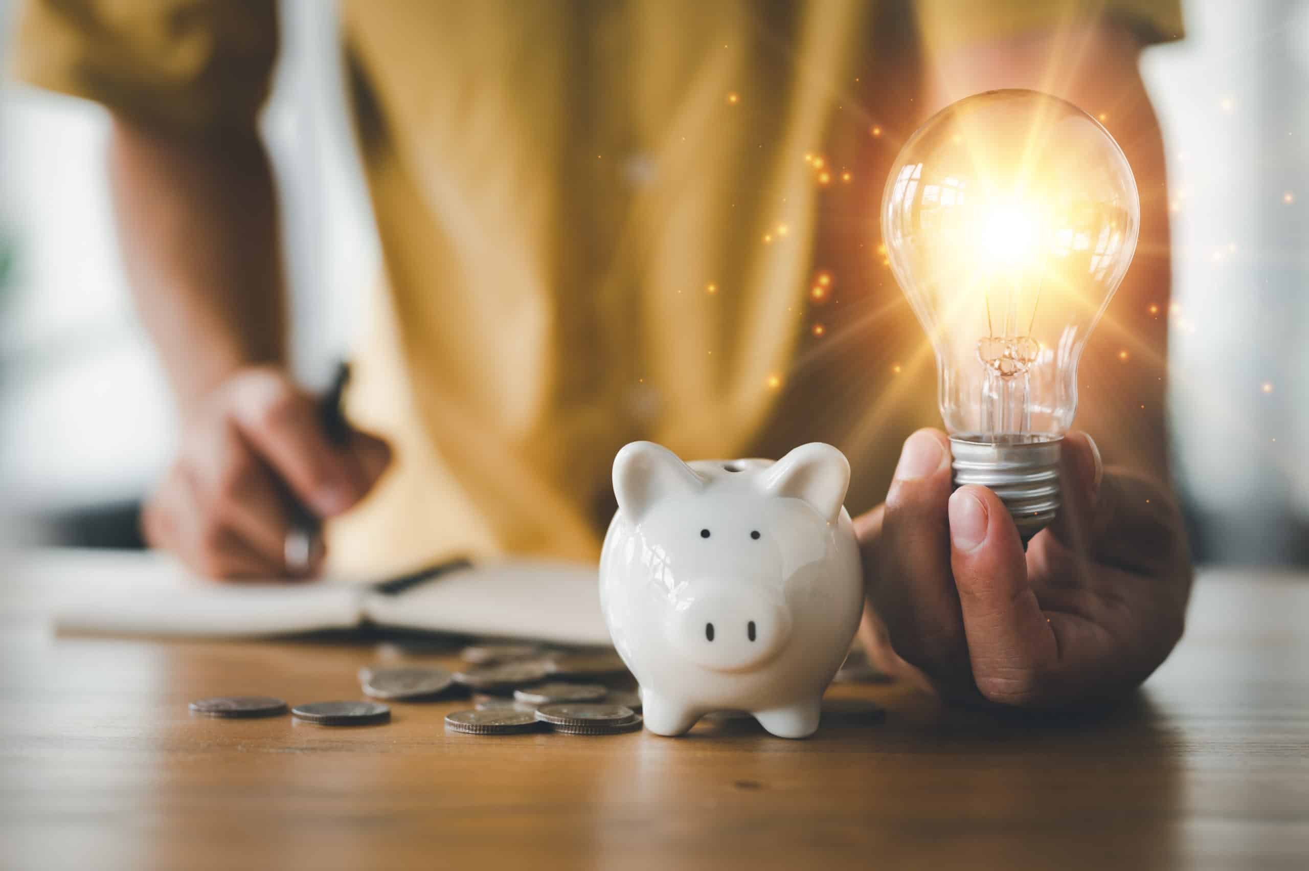 Ein Sparschwein - Die Dokumentationsanalyse spart Geld Ein Sparschwein - Die Dokumentationsanalyse spart Geld